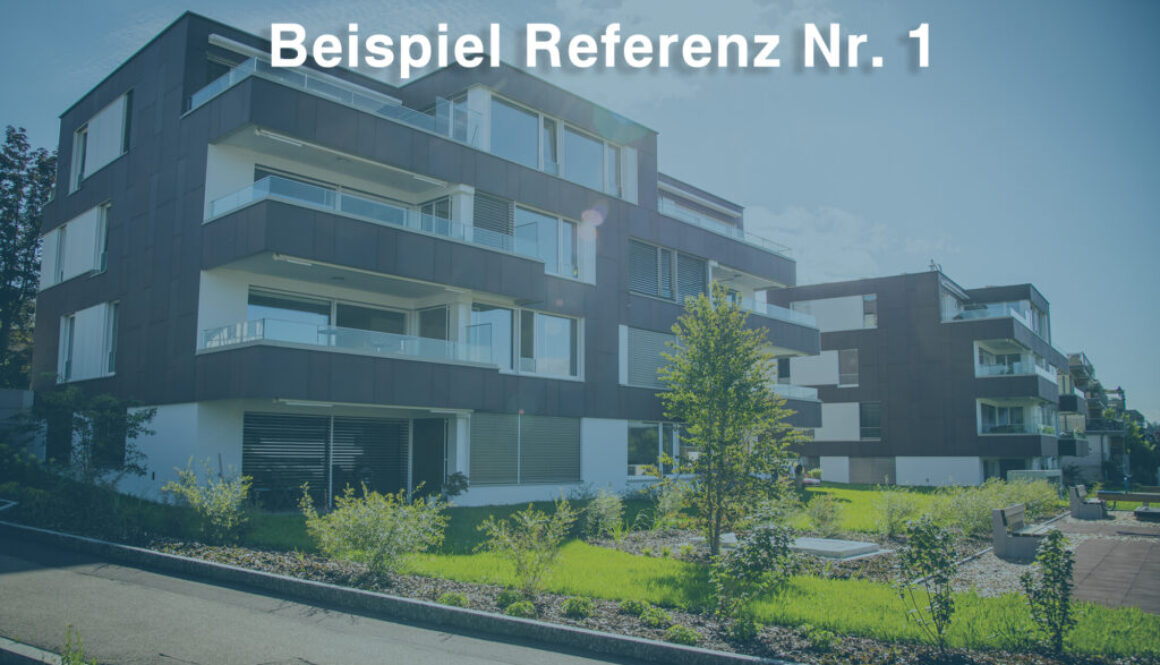 Beispiel-Referenz-Nr.-1