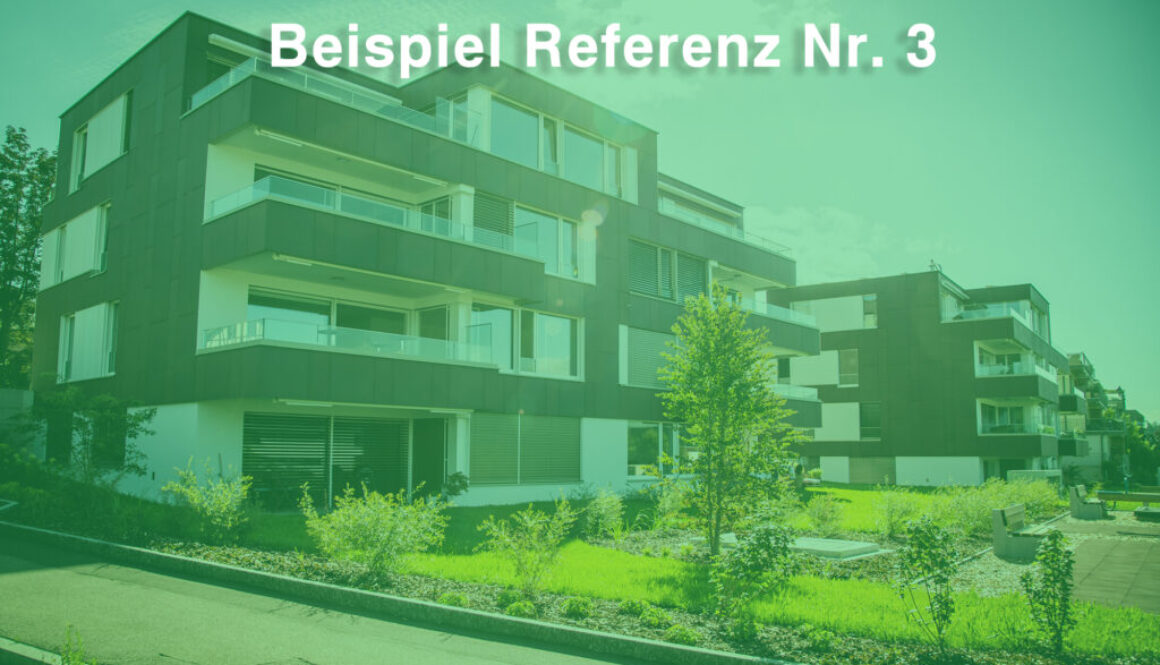 Beispiel-Referenz-Nr.-3