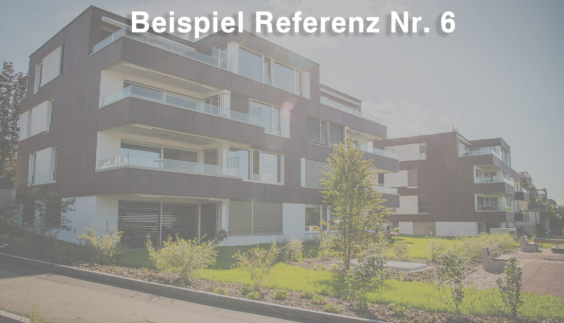 Beispiel-Referenz-Nr.-6